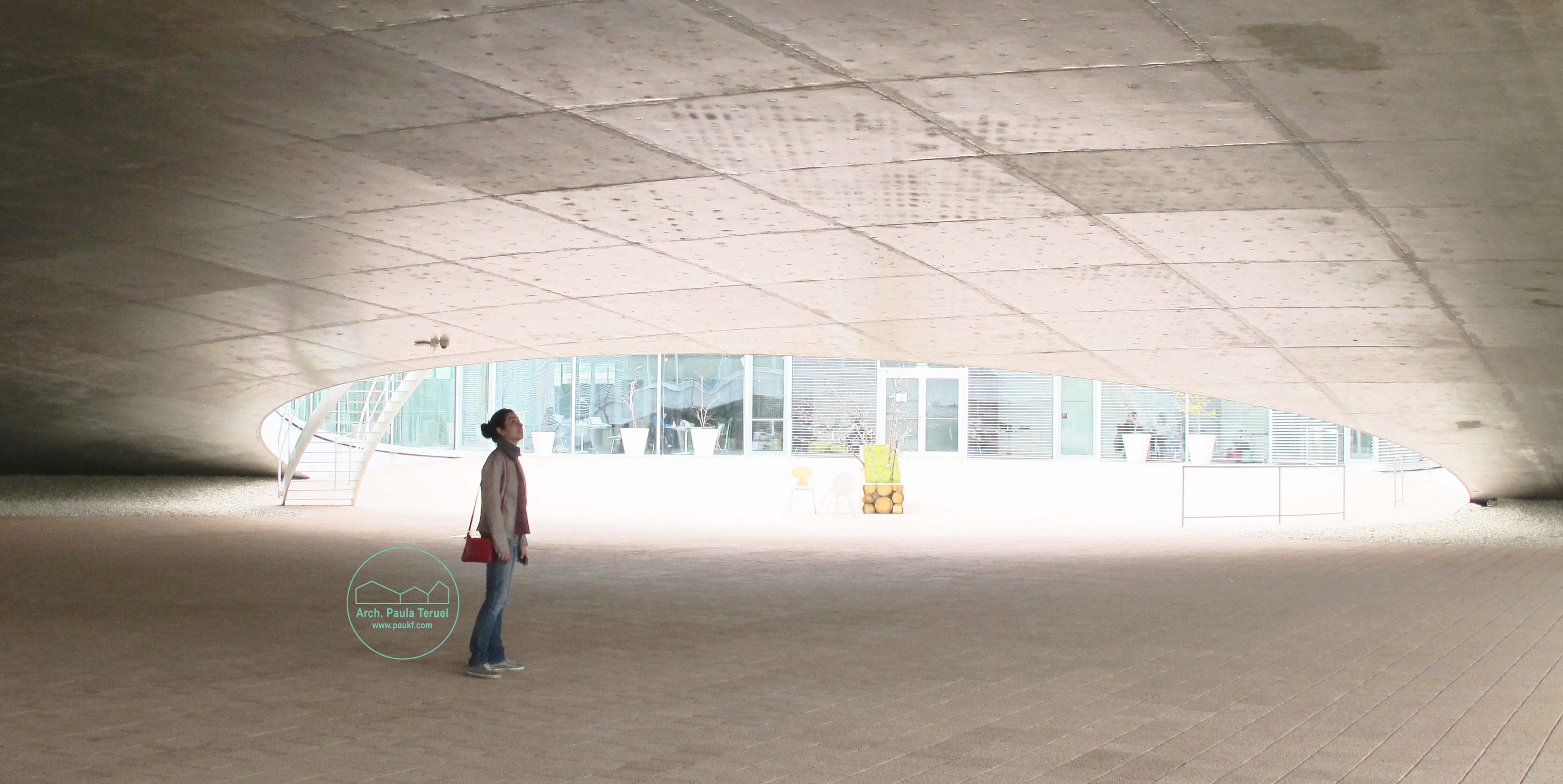 PAUKF IN THE ROLEX CENTER