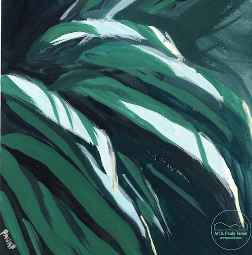 ELVERDE THEGREEN PLANTAS PLANTS VEGETATION VEGETACION ILUSTRACION CACTUS ARTWORK BY PAUKF