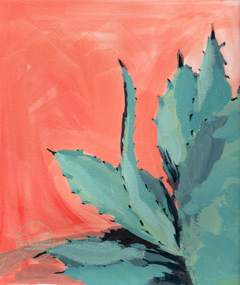 VERDE GREEN PLANTAS PLANTS VEGETATION VEGETACION ILUSTRACION CACTUS ARTWORK BY PAUKF