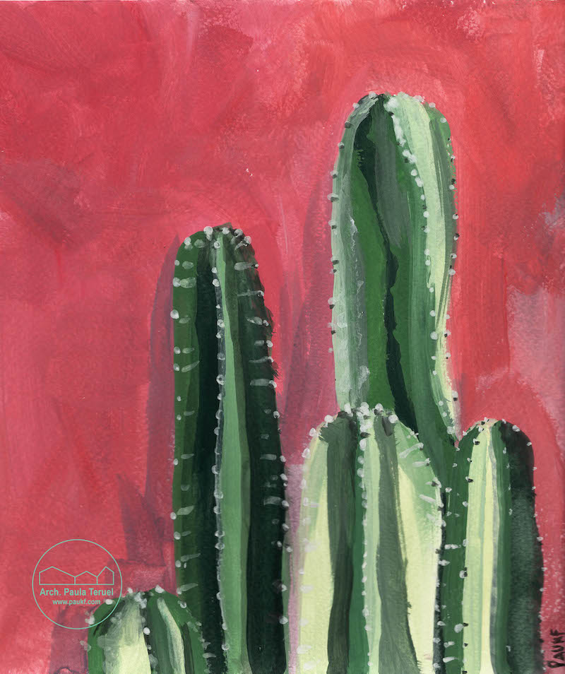 VERDE GREEN PLANTAS PLANTS VEGETATION VEGETACION ILUSTRACION CACTUS ARTWORK BY PAUKF