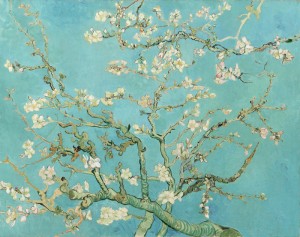 Almond Blossom Almendro en flor Saint-Rémy-de-Provence, February 1890 Vincent van Gogh paukf